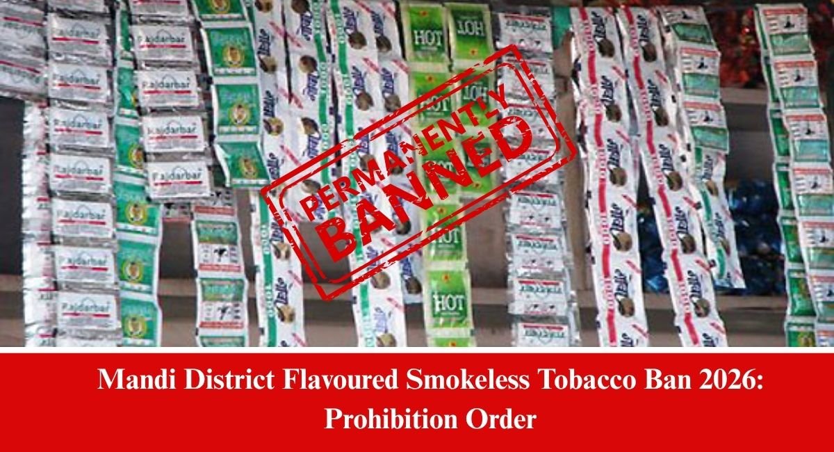 Mandi District Flavoured Smokeless Tobacco Ban 2026 Prohibition Order